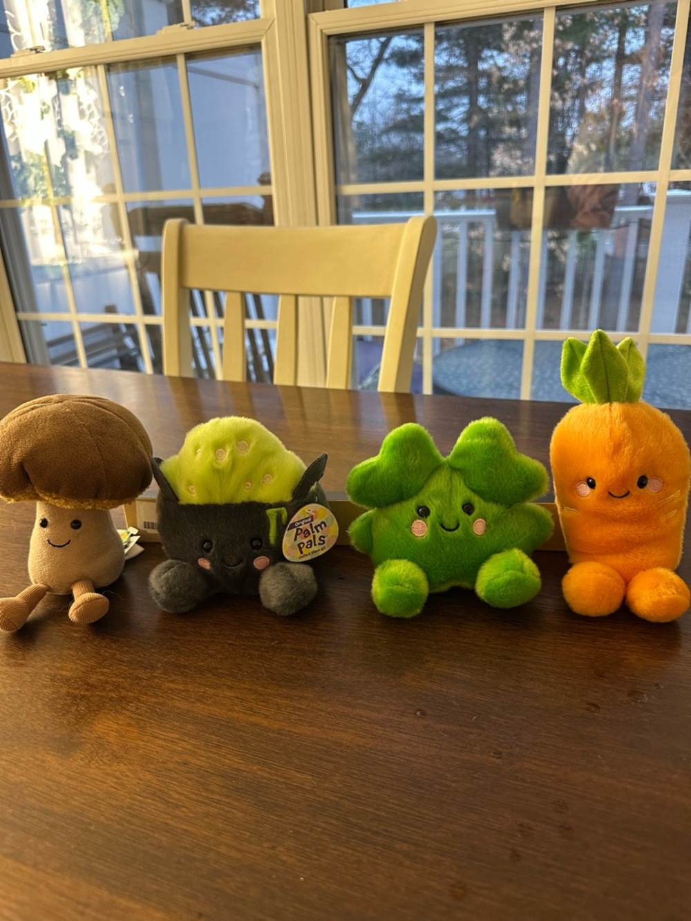 Palm Pals Plush Vegetable & Mushroom Set - Brown, Green, Orange
